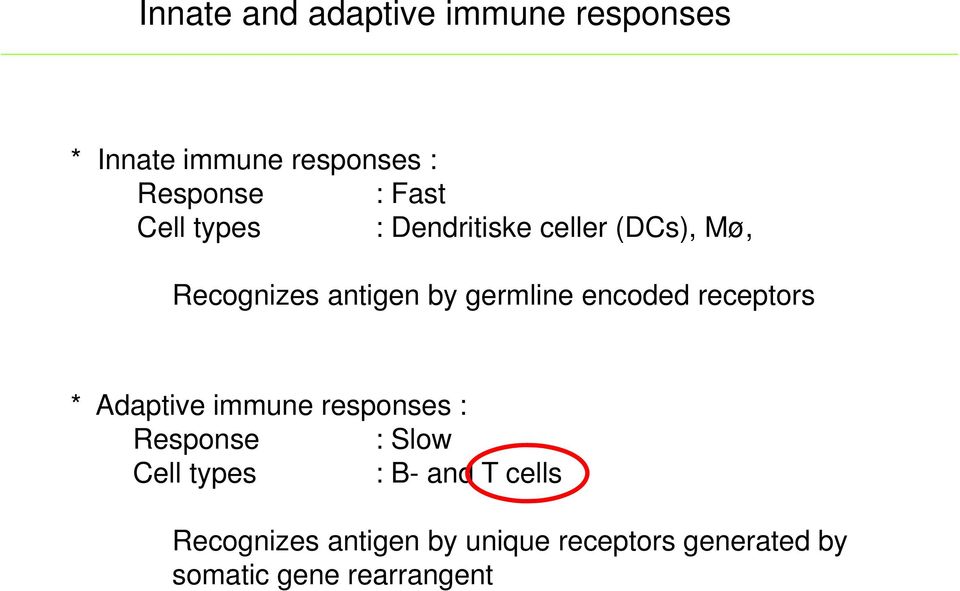encoded receptors * Adaptive immune responses : Response : Slow Cell types : B-