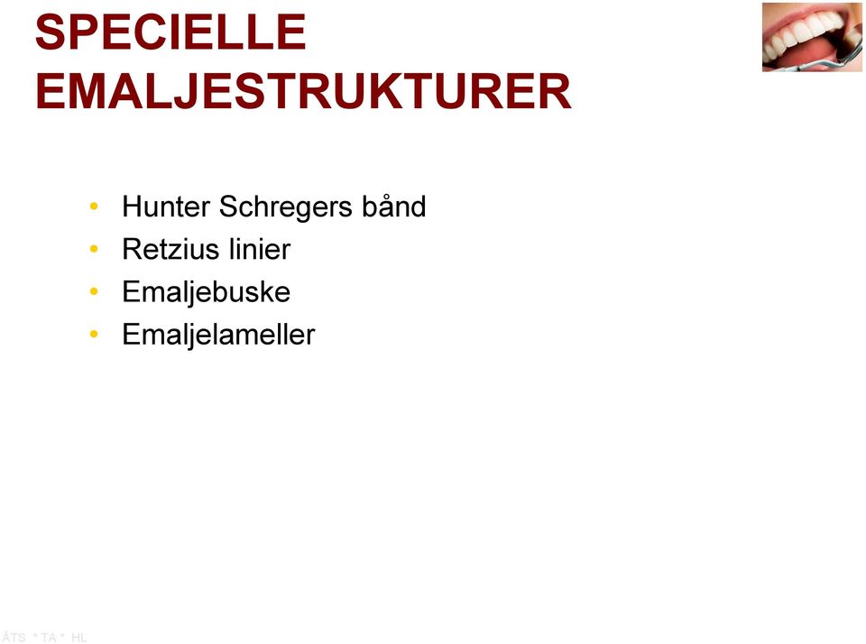 Hunter Schregers bånd
