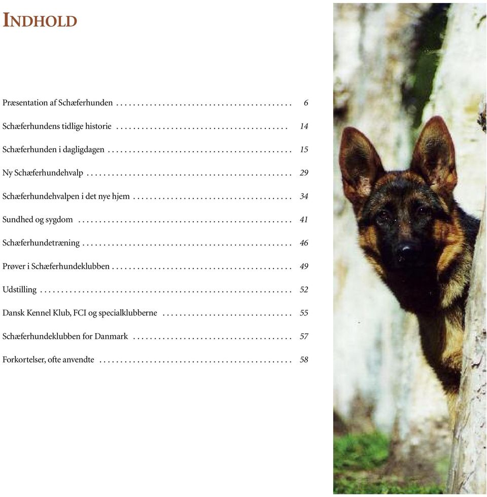 Schæferhund. Dansk Kennel Klub Schæferhund Atelier. Dansk Kennel Klub  Schæferhund. Racehunde i Danmark - PDF Free Download