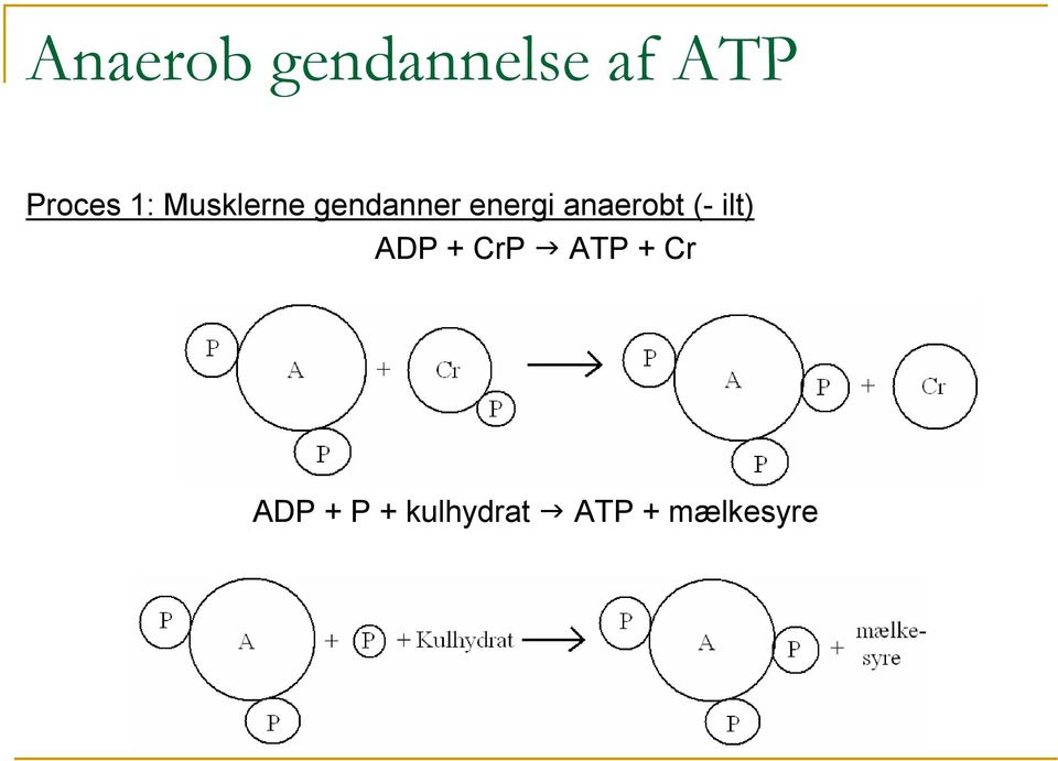 anaerobt (- ilt) ADP + CrP ATP +