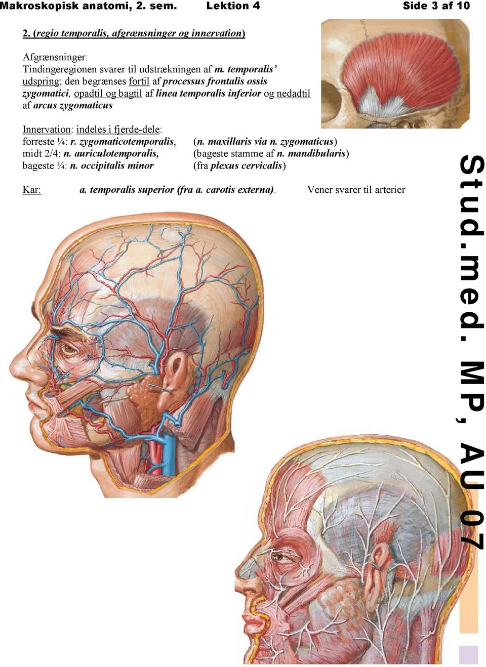 temporalis udspring; den begrænses fortil af processus frontalis ossis zygomatici, opadtil og bagtil af linea temporalis inferior og nedadtil af arcus