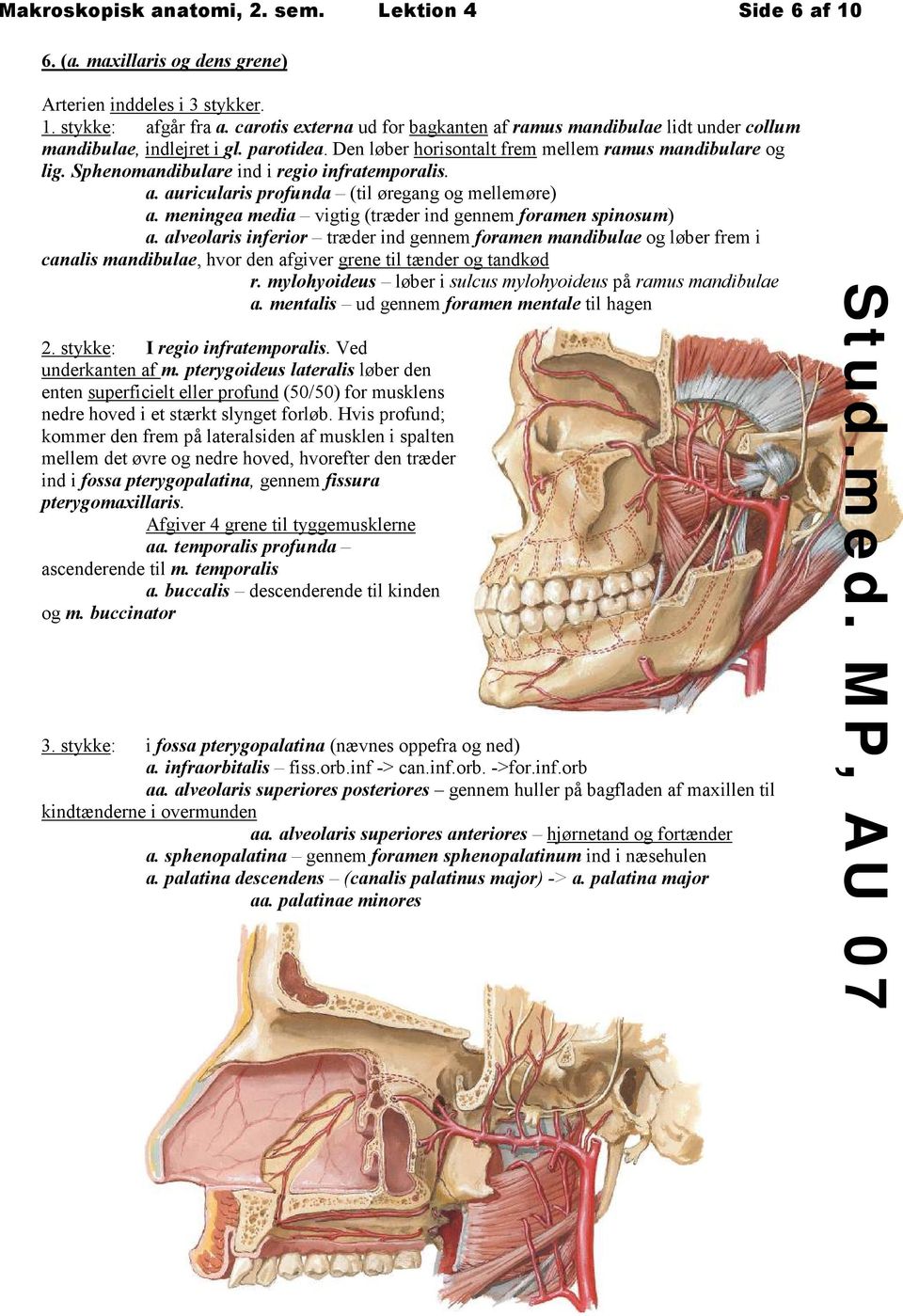 Sphenomandibulare ind i regio infratemporalis. a. auricularis profunda (til øregang og mellemøre) a. meningea media vigtig (træder ind gennem foramen spinosum) a.