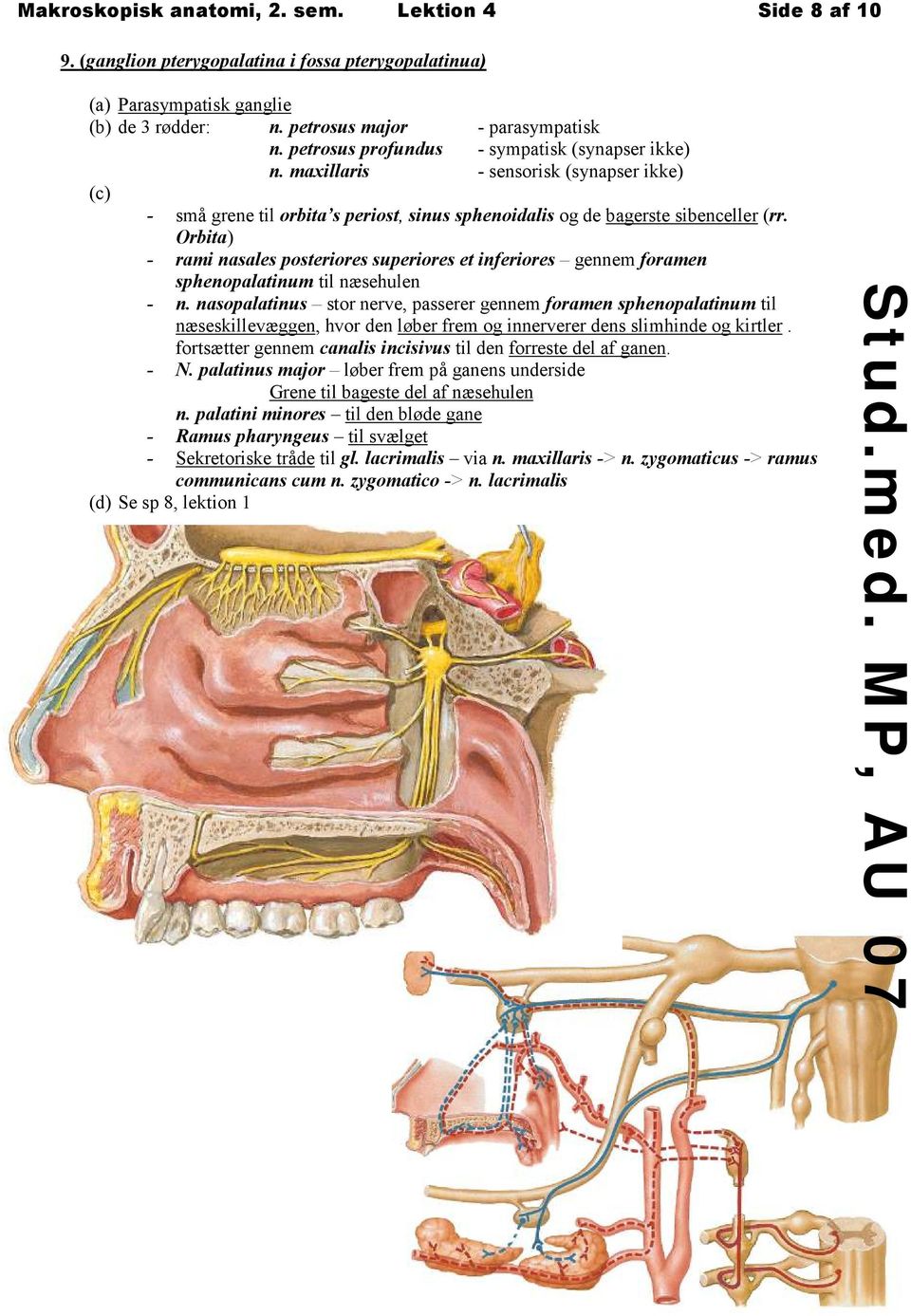 Orbita) - rami nasales posteriores superiores et inferiores gennem foramen sphenopalatinum til næsehulen - n.