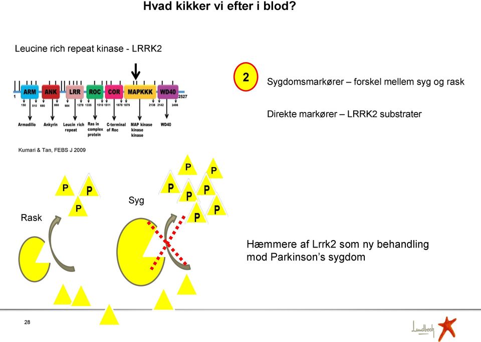 mellem syg og rask Direkte markører LRRK2 substrater Kumari &