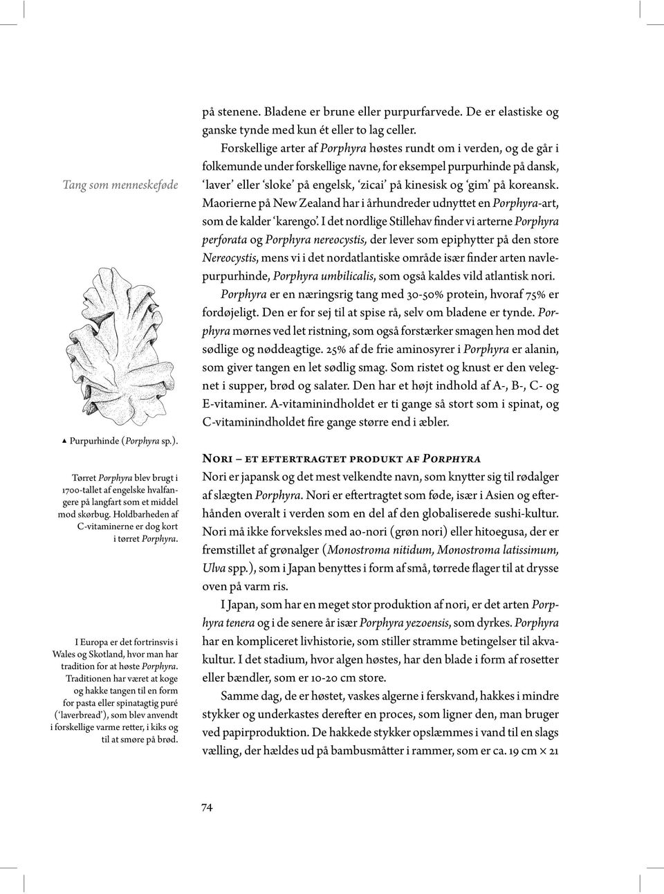 Spiselige alger. Tang som menneskeføde - PDF Gratis download