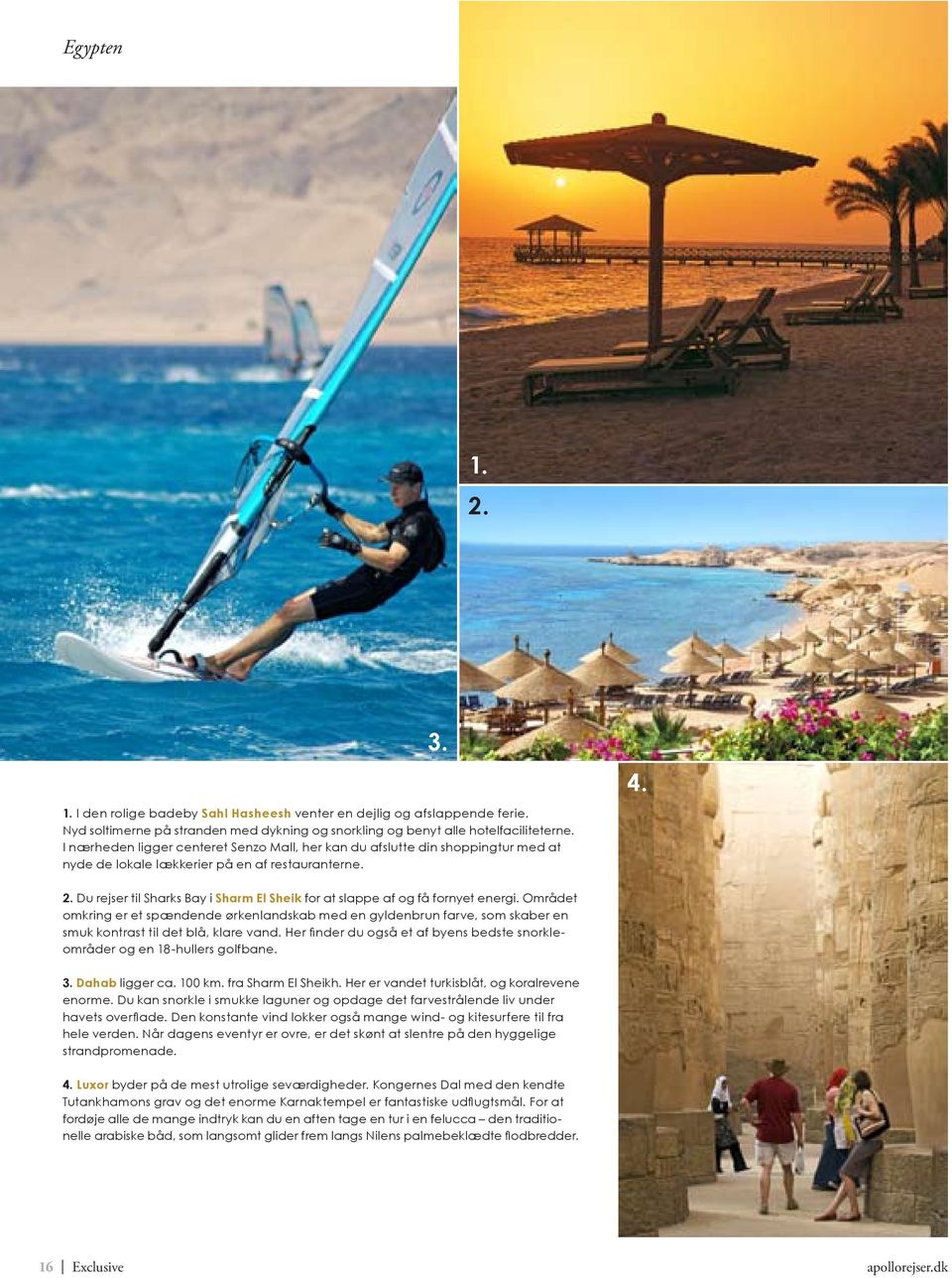Du rejser til Sharks Bay i Sharm El Sheik for at slappe af og få fornyet energi.