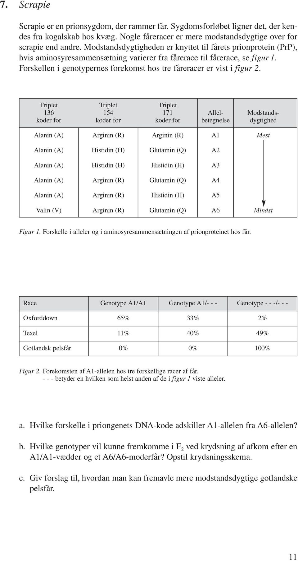 Forskellen i genotypernes forekomst hos tre fåreracer er vist i figur 2.