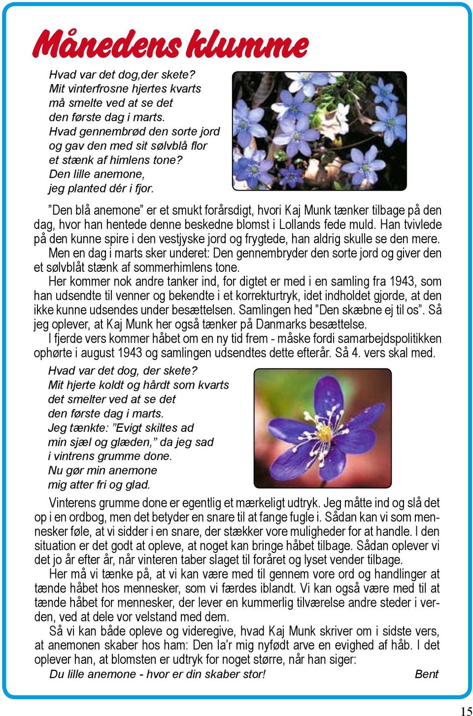 Den blå anemone er et smukt forårsdigt, hvori Kaj Munk tænker tilbage på den dag, hvor han hentede denne beskedne blomst i Lollands fede muld.
