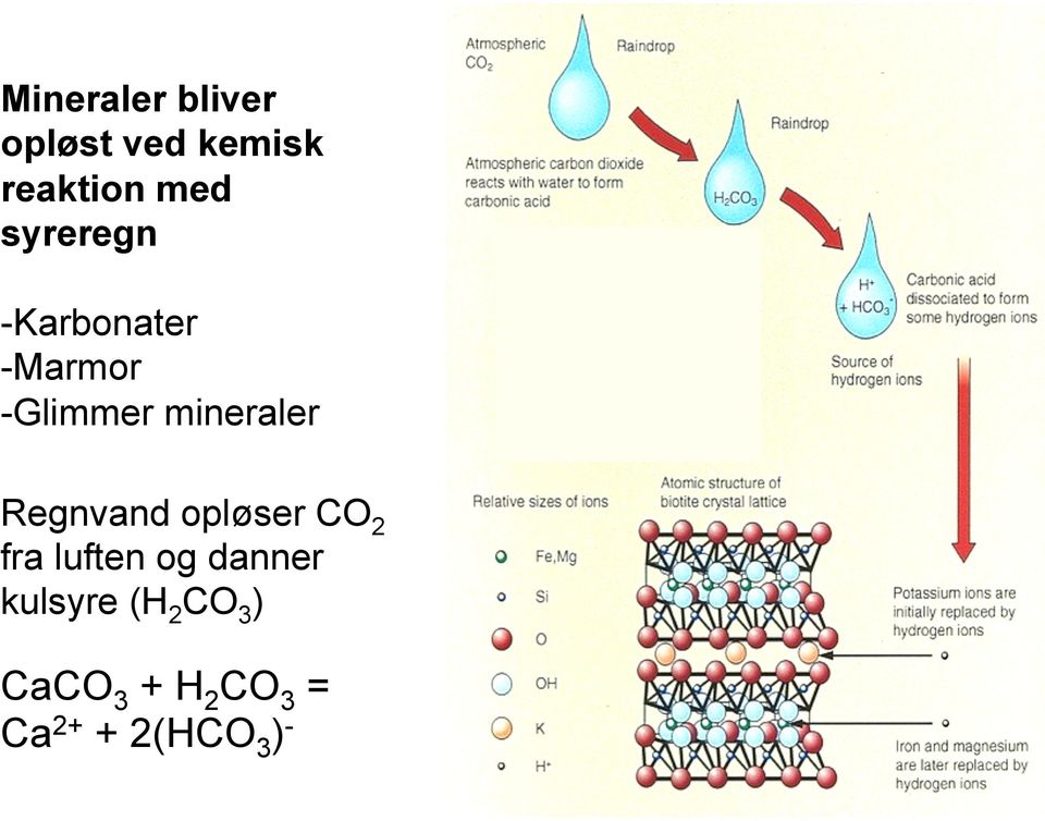 Regnvand opløser CO 2 fra luften og danner kulsyre