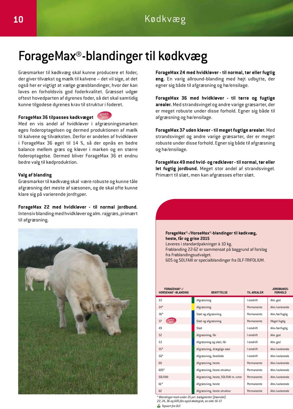 ForageMax 36 tilpasses kødkvæget Med en vis andel af hvidkløver i afgræsningsmarken øges foderoptagelsen og dermed produktionen af mælk til kalvene og tilvæksten.
