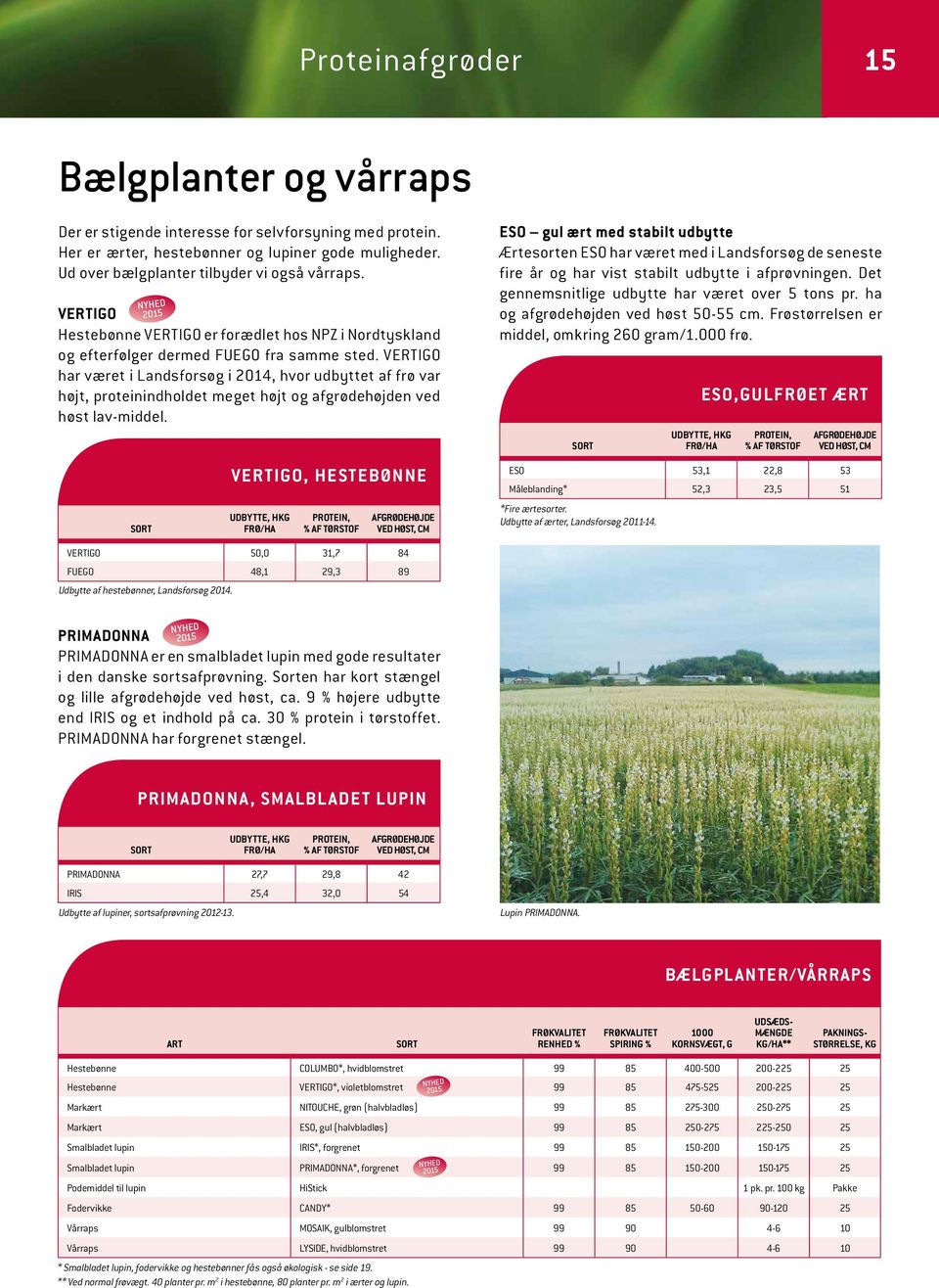VERTIGO har været i Landsforsøg i 2014, hvor udbyttet af frø var højt, proteinindholdet meget højt og afgrødehøjden ved høst lav-middel.