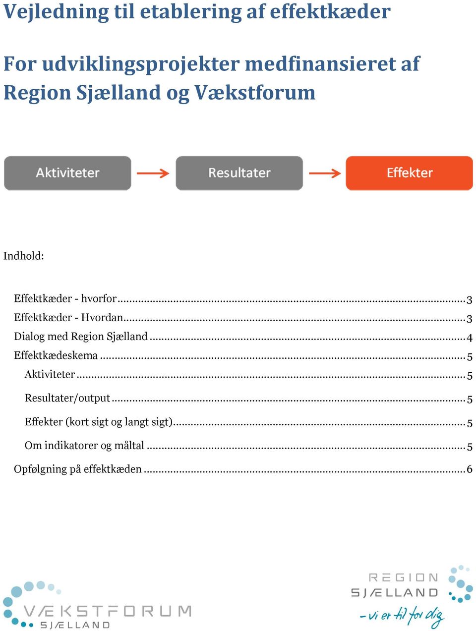 .. 3 Dialog med Region Sjælland... 4 Effektkædeskema... 5 Aktiviteter... 5 Resultater/output.