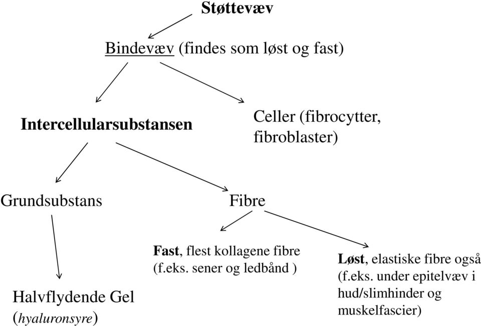(hyaluronsyre) Fast, flest kollagene fibre (f.eks.