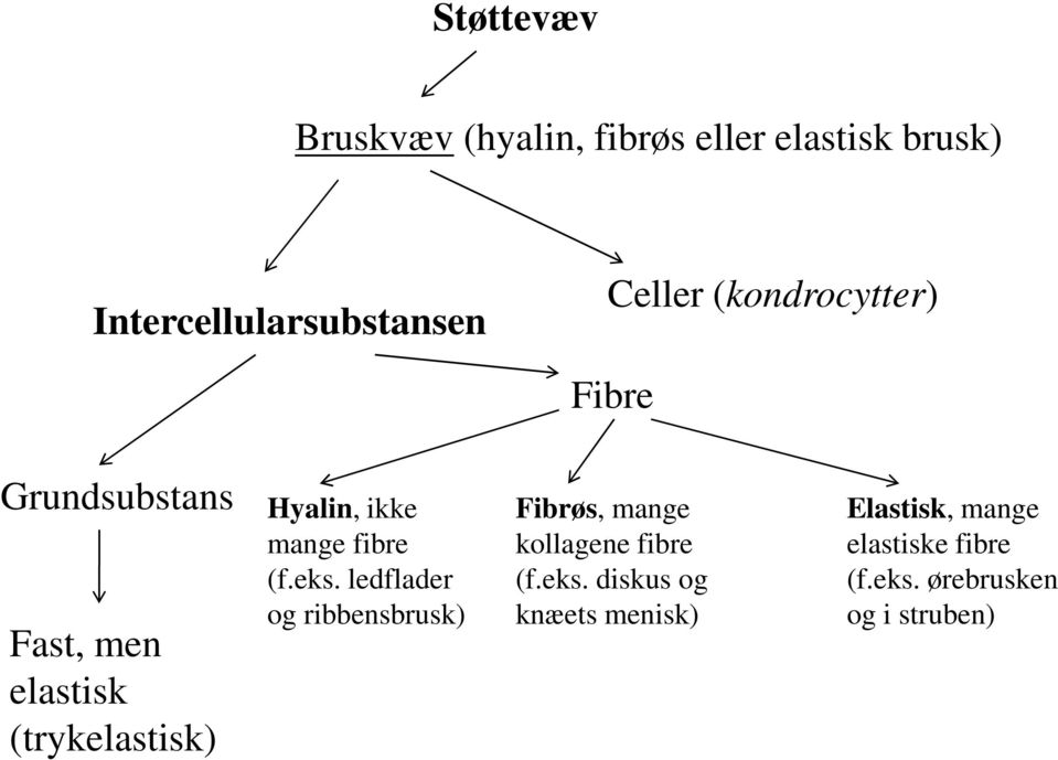 ikke mange fibre (f.eks. ledflader og ribbensbrusk) Fibrøs, mange kollagene fibre (f.