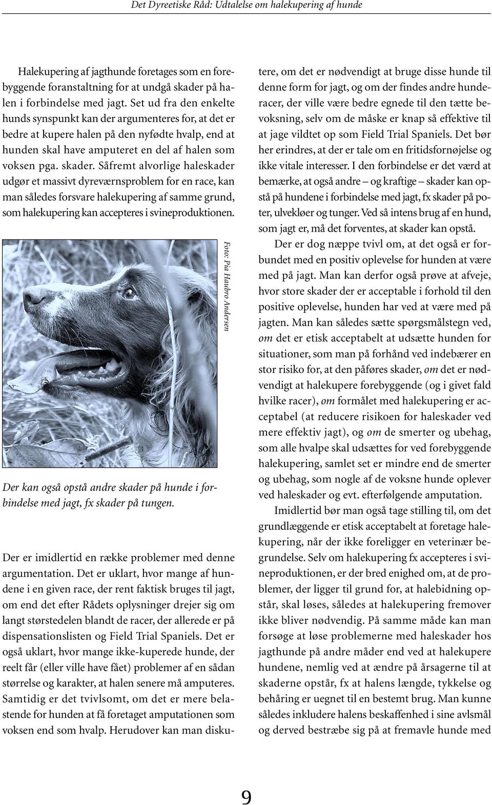 Det Dyreetiske Råd. Udtalelse om halekupering af hunde - PDF Gratis download