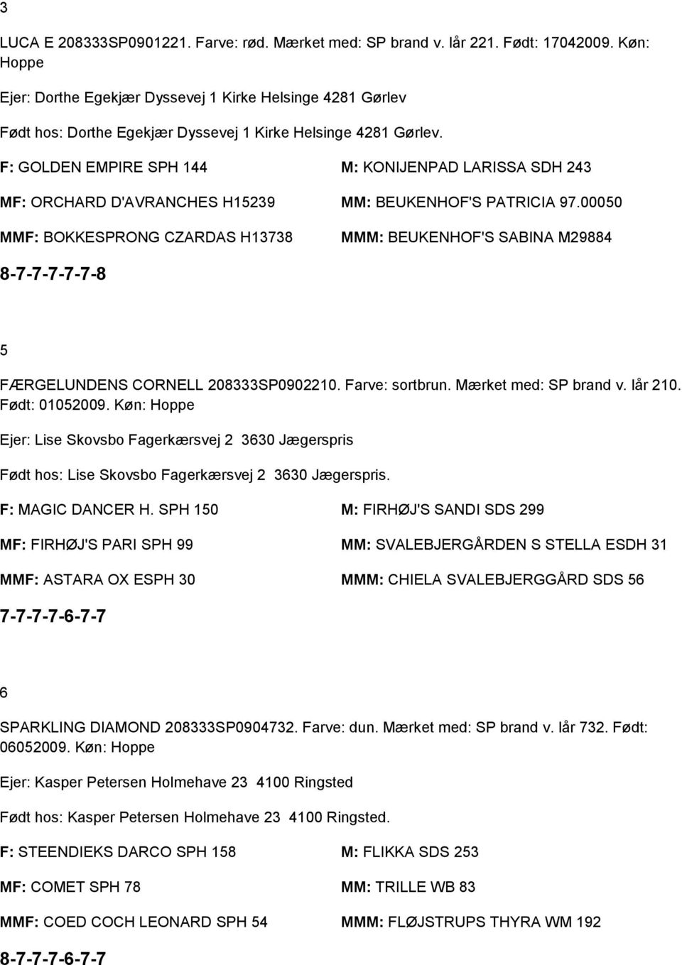 F: GOLDEN EMPIRE SPH 144 M: KONIJENPAD LARISSA SDH 243 MF: ORCHARD D'AVRANCHES H15239 MM: BEUKENHOF'S PATRICIA 97.