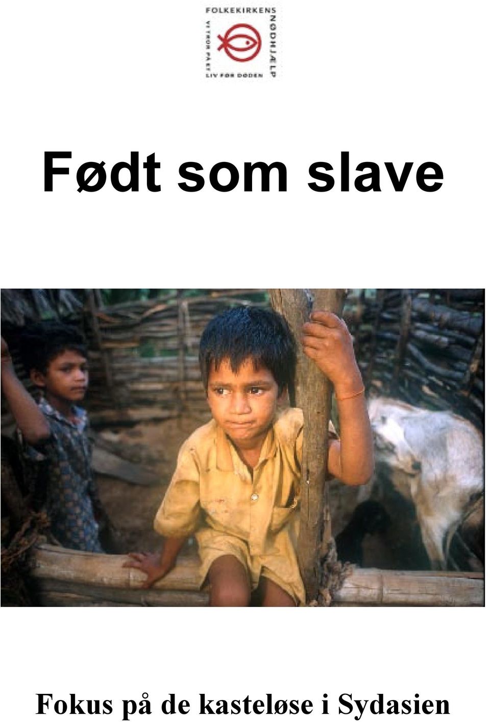 Født som slave på de kasteløse i Sydasien PDF Free