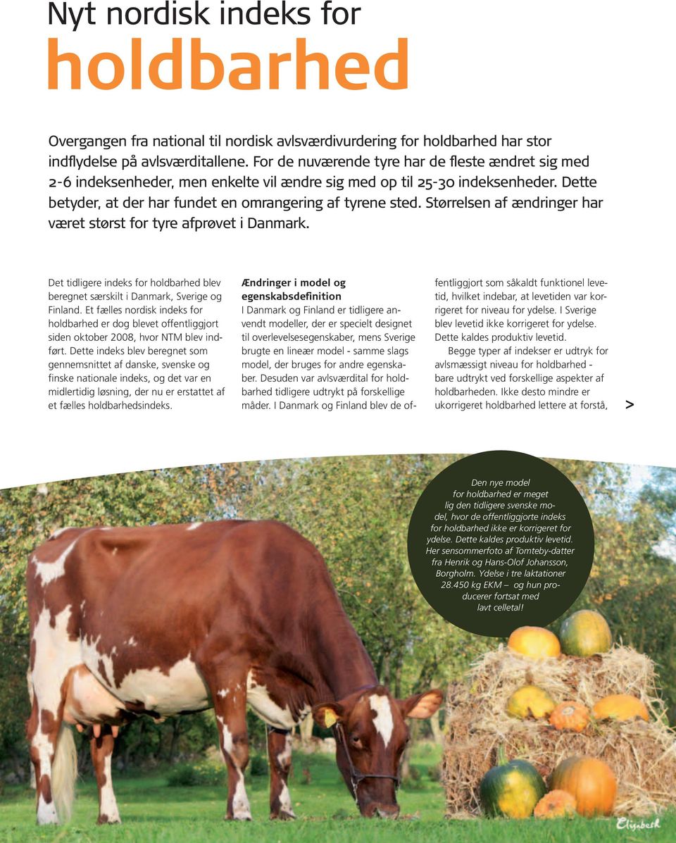 Størrelsen af ændringer har været størst for tyre afprøvet i Danmark. Det tidligere indeks for holdbarhed blev beregnet særskilt i Danmark, Sverige og Finland.