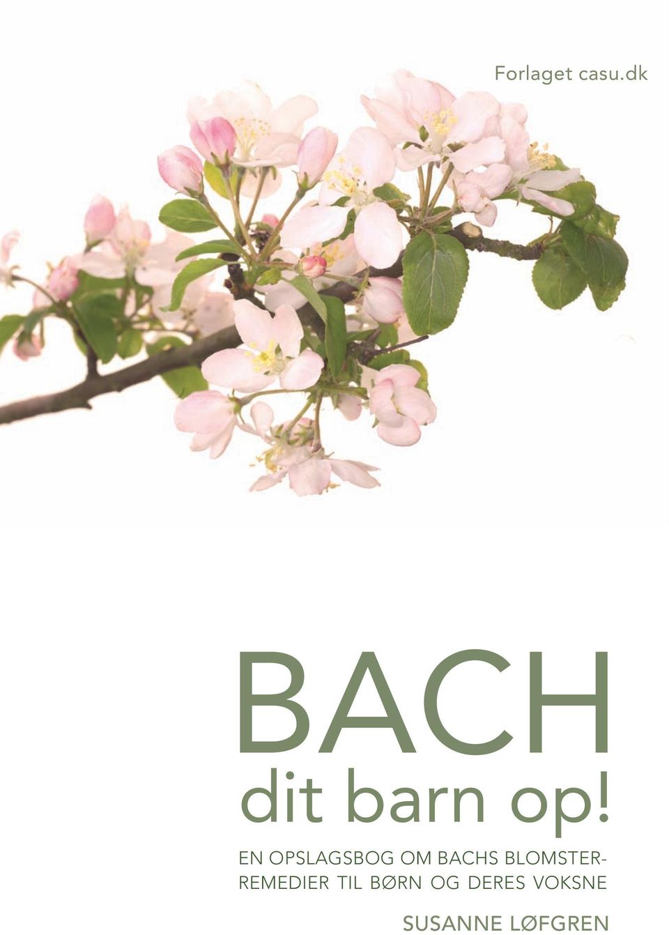 En opslagsbog om Bachs