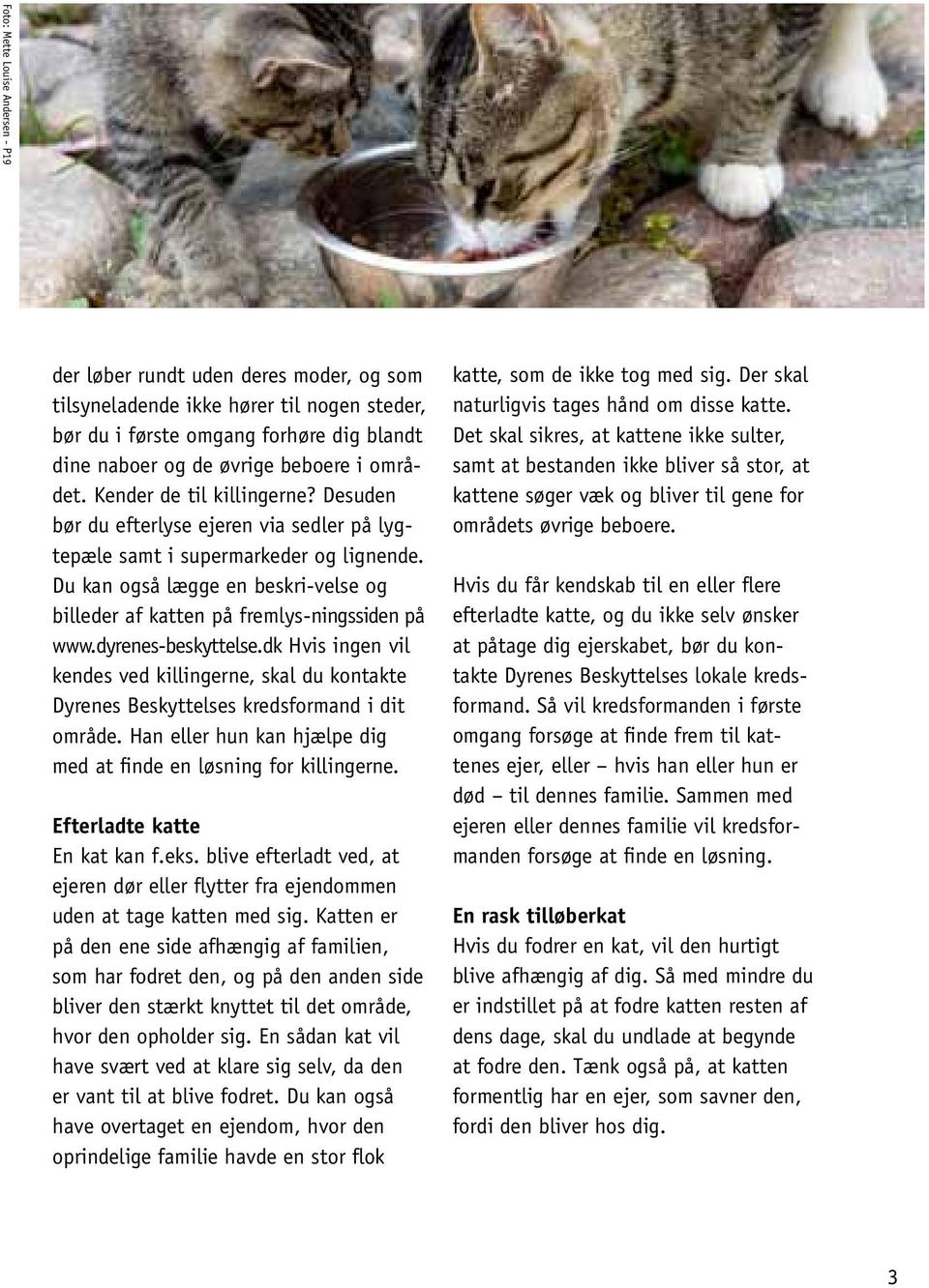 Du kan også lægge en beskri-velse og billeder af katten på fremlys-ningssiden på www.dyrenes-beskyttelse.