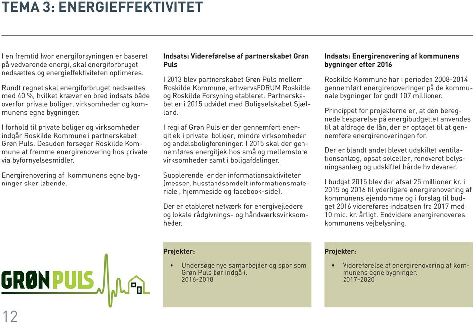 I forhold til private boliger og virksomheder indgår Roskilde Kommune i partnerskabet Grøn Puls. Desuden forsøger Roskilde Kommune at fremme energirenovering hos private via byfornyelsesmidler.