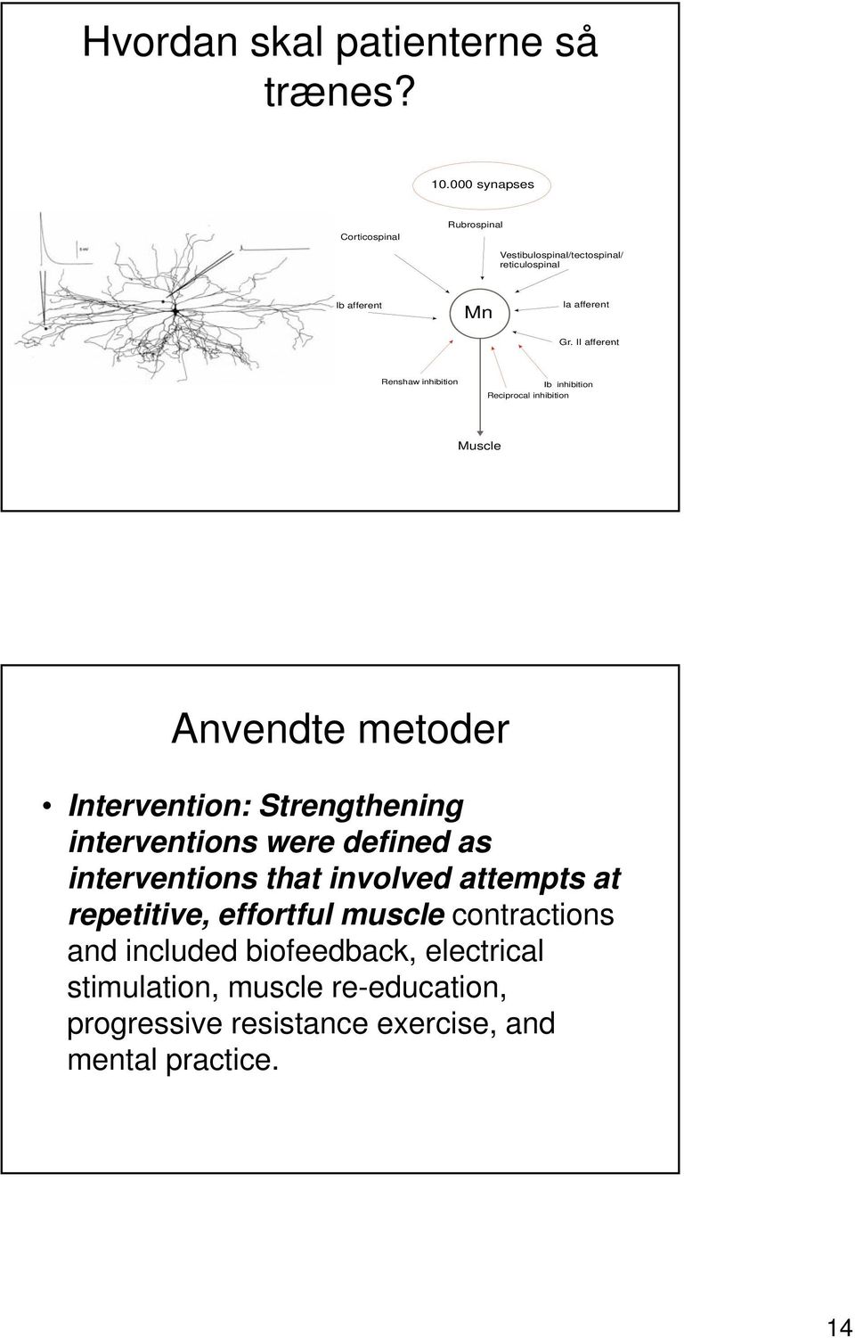 II afferent Renshaw inhibition Ib inhibition Reciprocal inhibition Muscle Anvendte metoder Intervention: Strengthening