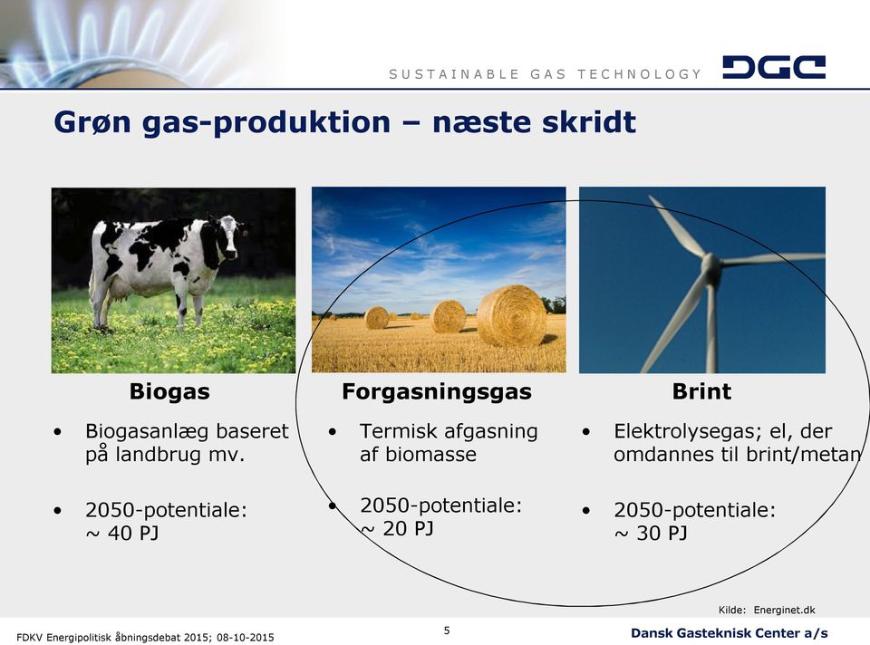 2050-potentiale: ~ 40 PJ Termisk afgasning af biomasse