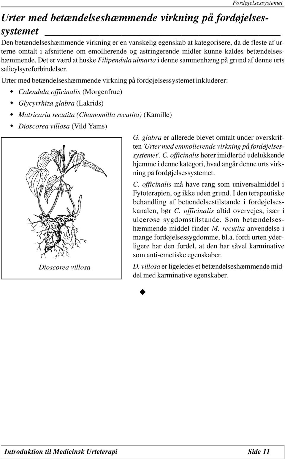 Urter med betændelseshæmmende virkning på fordøjelsessystemet inkluderer: w Calendula officinalis (Morgenfrue) w Glycyrrhiza glabra (Lakrids) w Matricaria recutita (Chamomilla recutita) (Kamille) w