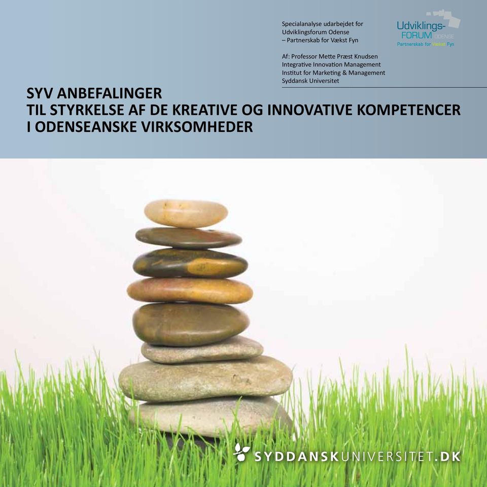 for Marketing & Management Syddansk Universitet SYV anbefalinger til styrkelse af de