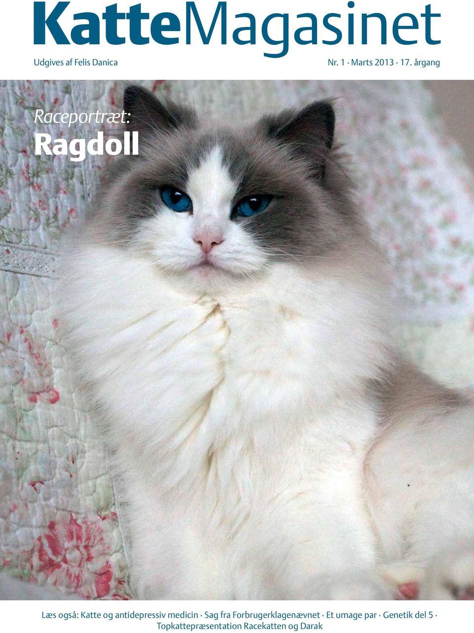 årgang Raceportræt: Ragdoll Læs også: Katte og