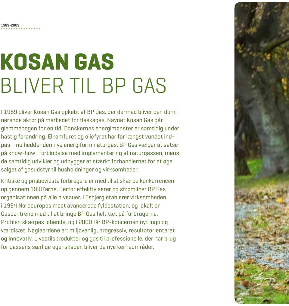 BP Gas vælger at satse på know-how i forbindelse med implementering af naturgassen, mens de samtidig udvikler og udbygger et stærkt forhandlernet for at øge salget af gasudstyr til husholdninger og