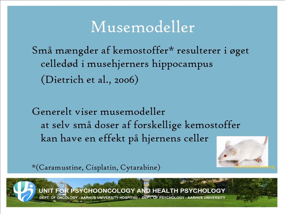 , 2006) Generelt viser musemodeller at selv små doser af