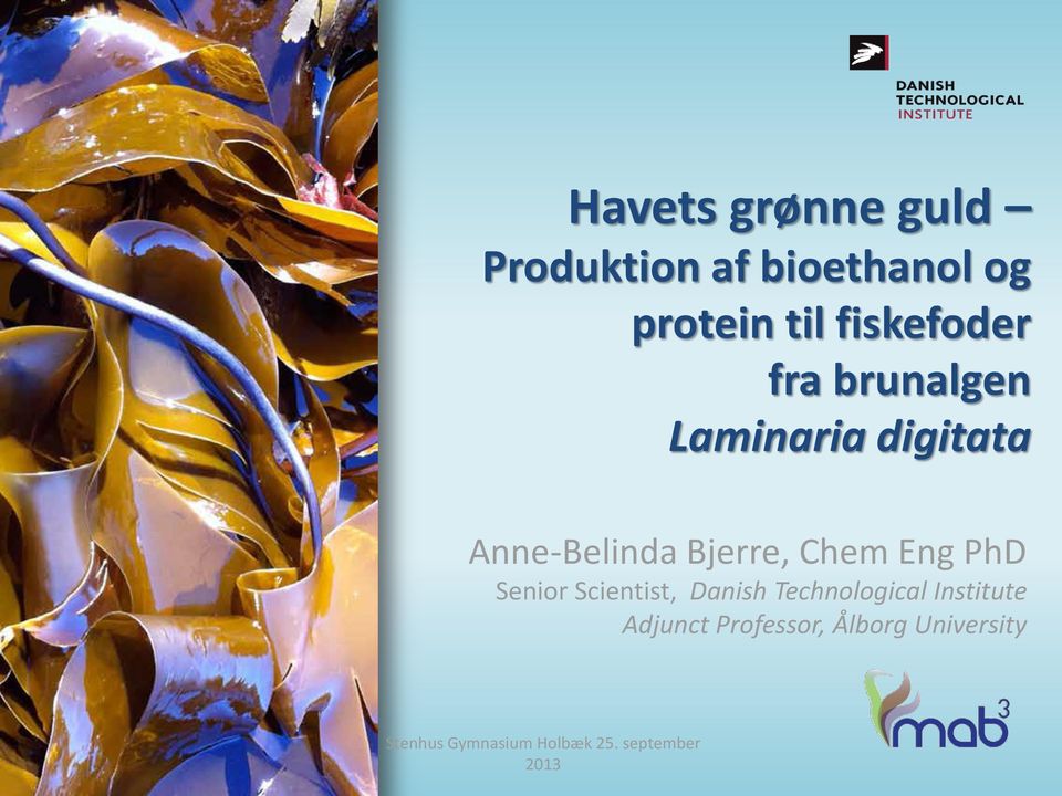 Anne-Belinda Bjerre, Chem Eng PhD Senior Scientist,