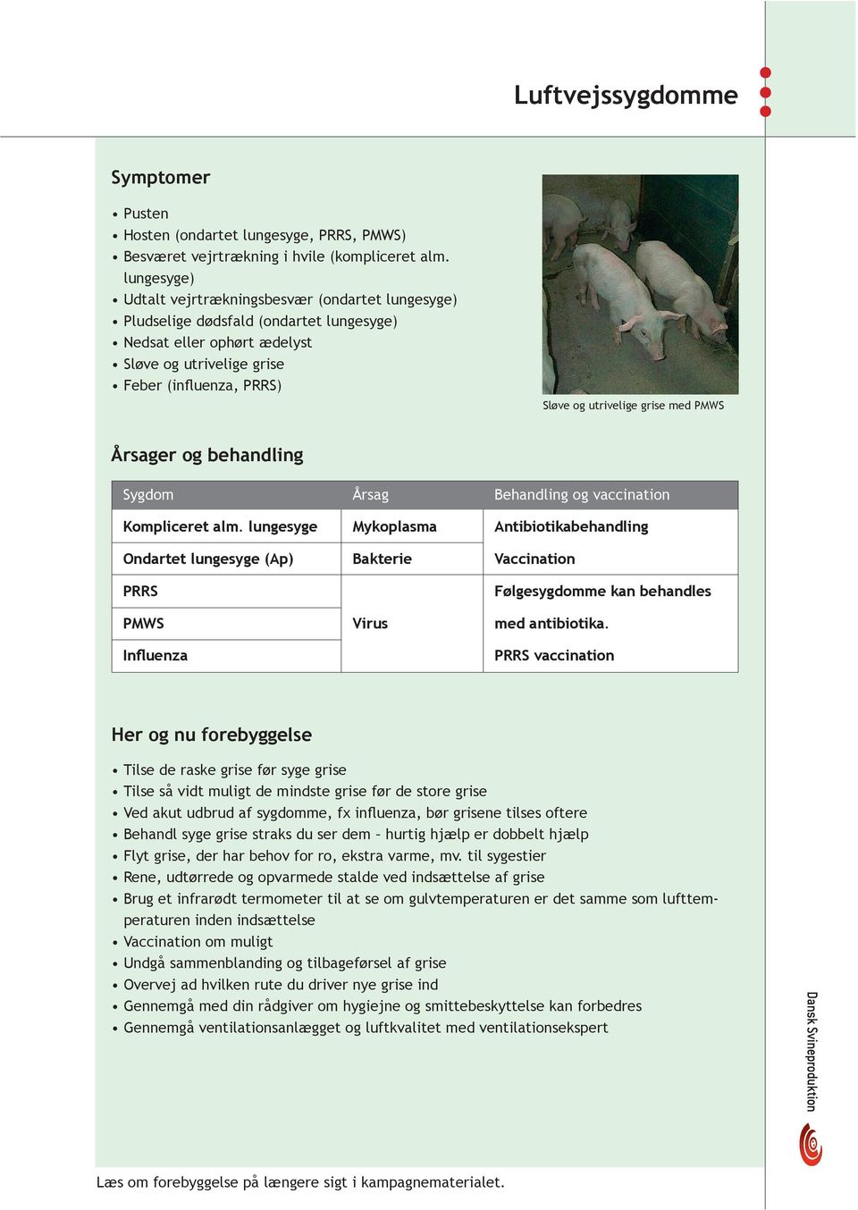 grise med PMWS Årsager og behandling Sygdom Årsag Behandling og vaccination Kompliceret alm.