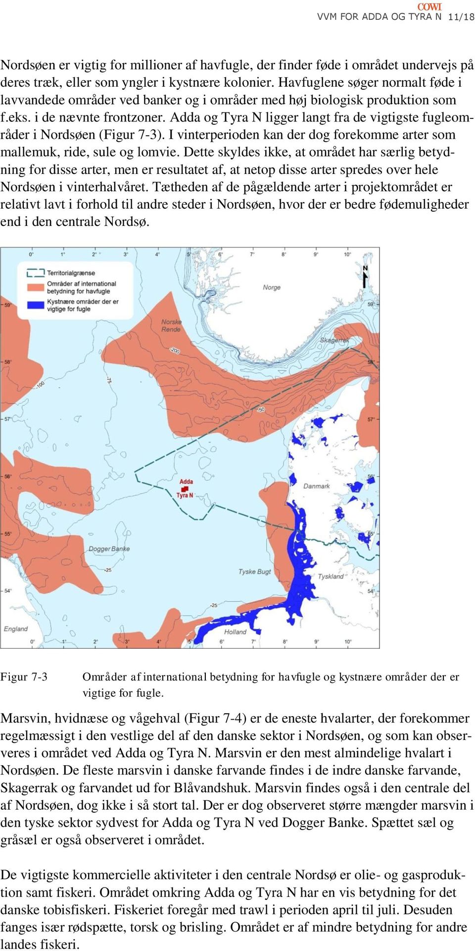 Adda og Tyra N ligger langt fra de vigtigste fugleområder i Nordsøen (Figur 7-3). I vinterperioden kan der dog forekomme arter som mallemuk, ride, sule og lomvie.