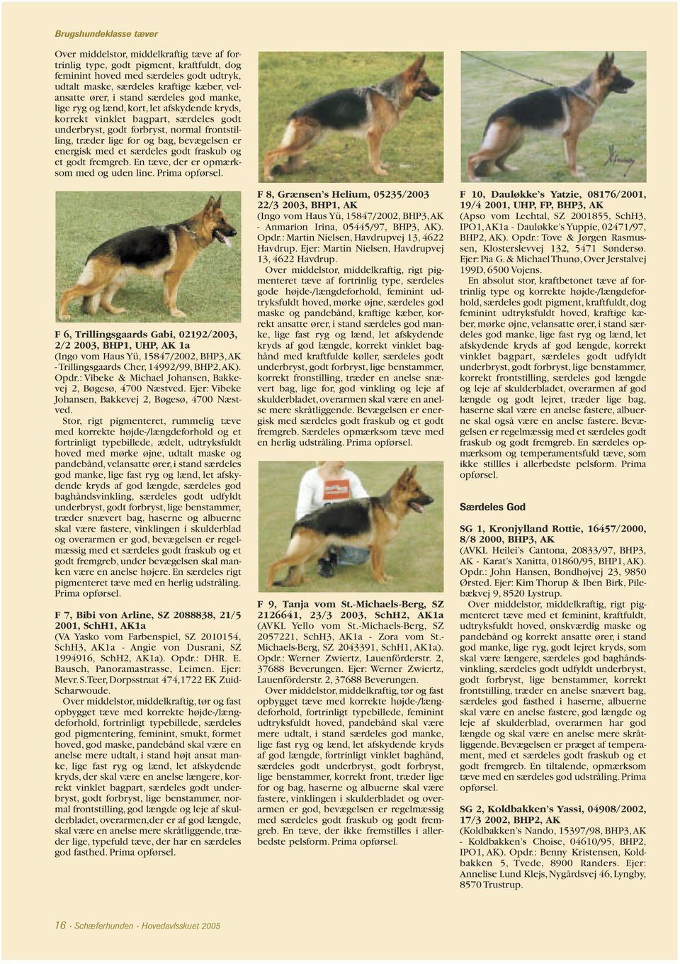 Schæferhunden. Udgivet af Schæferhundeklubben for Danmark Nr. 11  november-december årgang. Hovedavlsskuet PDF Gratis download