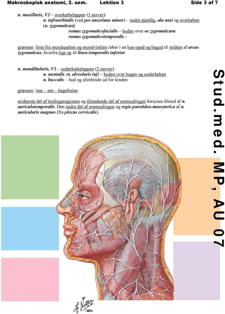 zygomaticus, hvorfra lige op til linea temporalis inferior. n. mandibularis, V3 underkæbelappen (2 nerver): n. mentalis (n. alveolaris inf) huden over hagen og underlæben n.