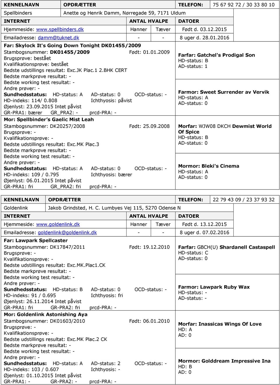 JK Plac.1 2.BHK CERT Sundhedsstatus: OCD-status: - HD-indeks: 114/ 0.808 Ichthyosis: påvist Øjenlyst: 23.09.