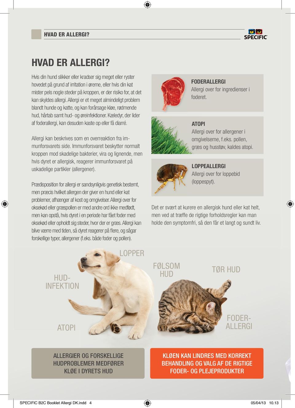 allergi. Allergi er et meget almindeligt problem blandt hunde og katte, og kan forårsage kløe, rødmende hud, hårtab samt hud- og øreinfektioner.
