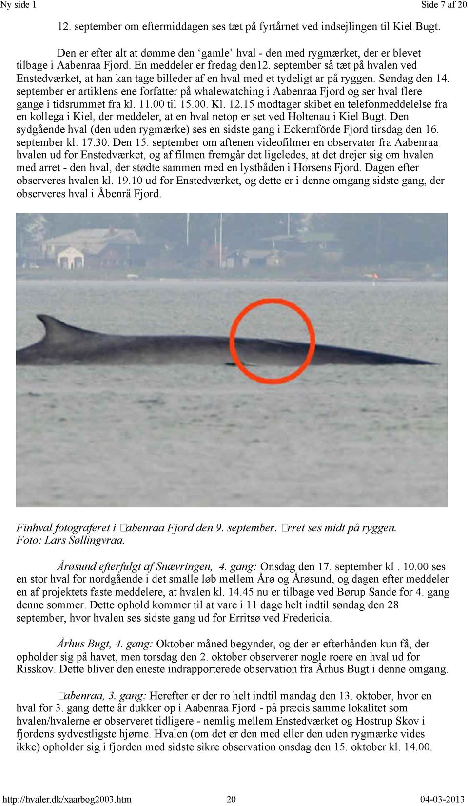 september er artiklens ene forfatter på whalewatching i Aabenraa Fjord og ser hval flere gange i tidsrummet fra kl. 11.00 til 15.00. Kl. 12.