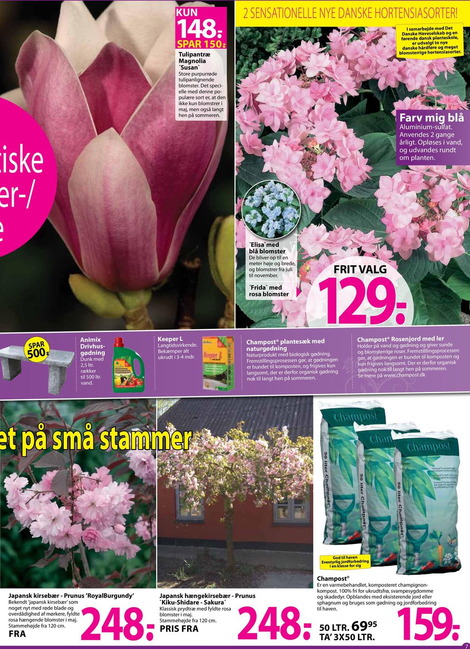 I samarbejde med Det Danske Haveselskab og en førende dansk planteskole, er udvalgt to nye danske hårdføre og meget blomsterrige hortensiasorter. Farv mig blå Aluminium-sulfat.