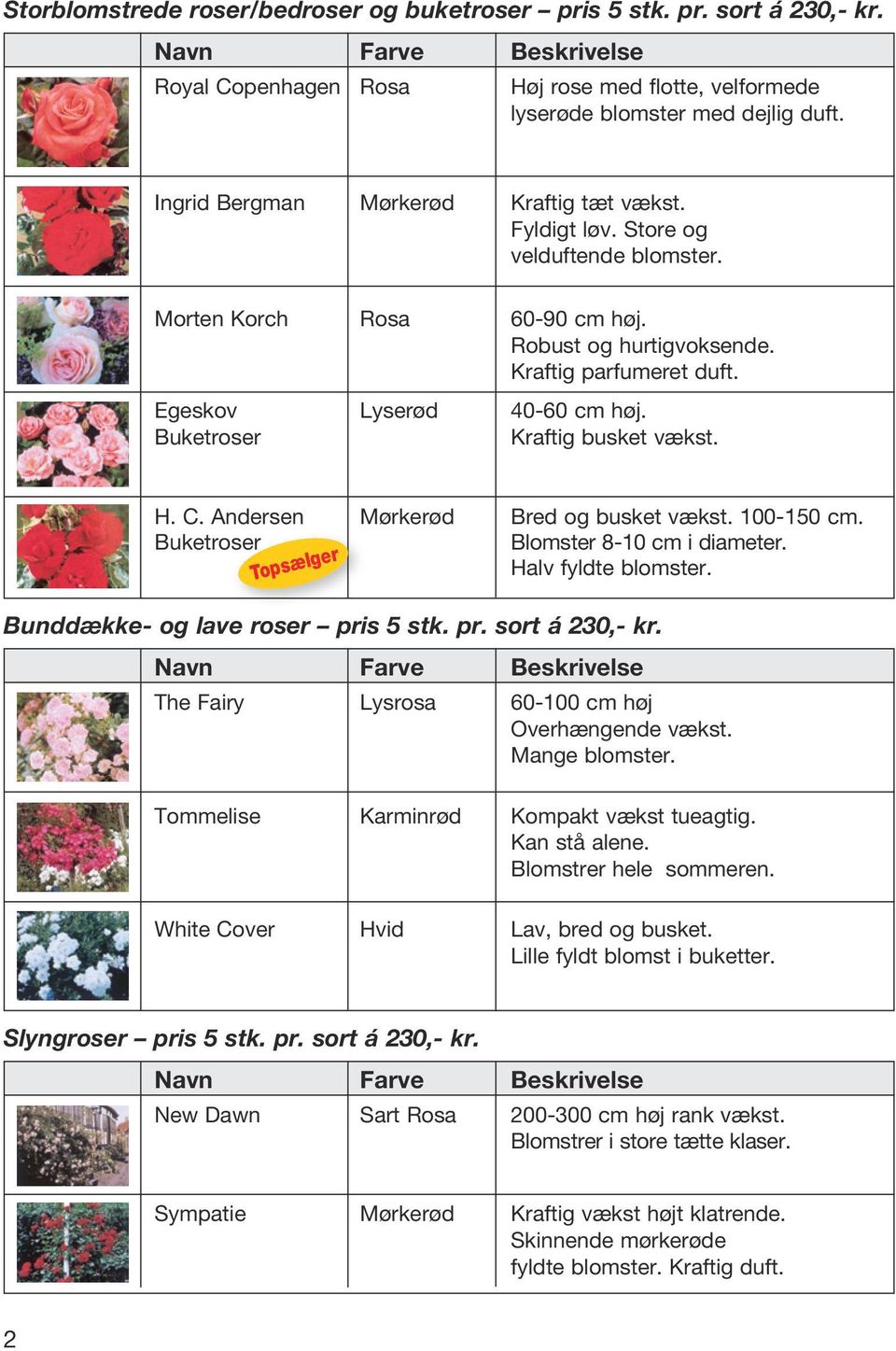 Buketroser Kraftig busket vækst. H. C. Andersen Mørkerød Bred og busket vækst. 100-150 cm. Buketroser Blomster 8-10 cm i diameter. Halv fyldte blomster. Bunddække- og lave roser pris 5 stk. pr. sort á 230,- kr.