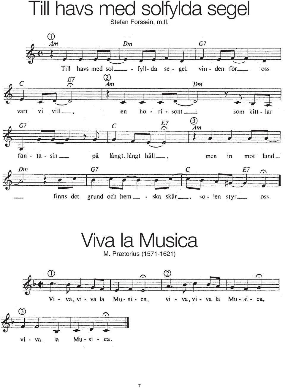 m.fl. Viva la Musica M.