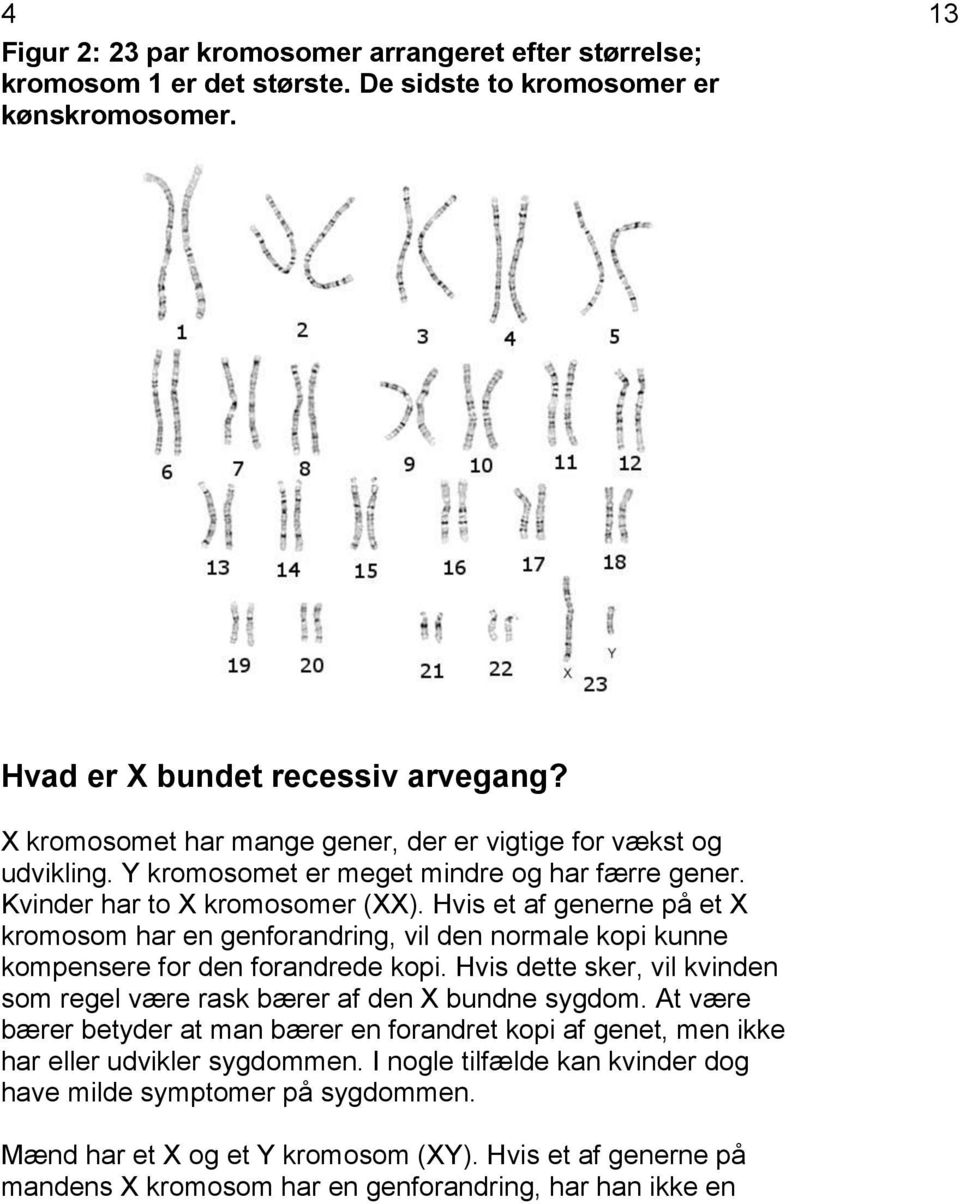 Hvis et af generne på et X kromosom har en genforandring, vil den normale kopi kunne kompensere for den forandrede kopi. Hvis dette sker, vil kvinden som regel være rask bærer af den X bundne sygdom.