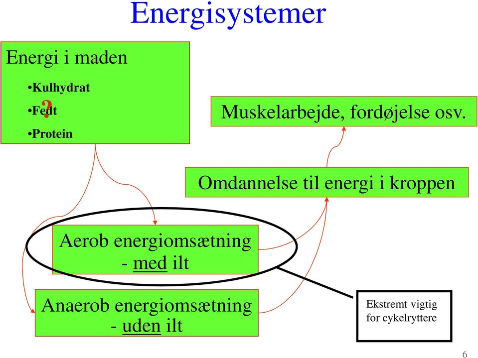 Omdannelse til energi i kroppen Aerob energiomsætning