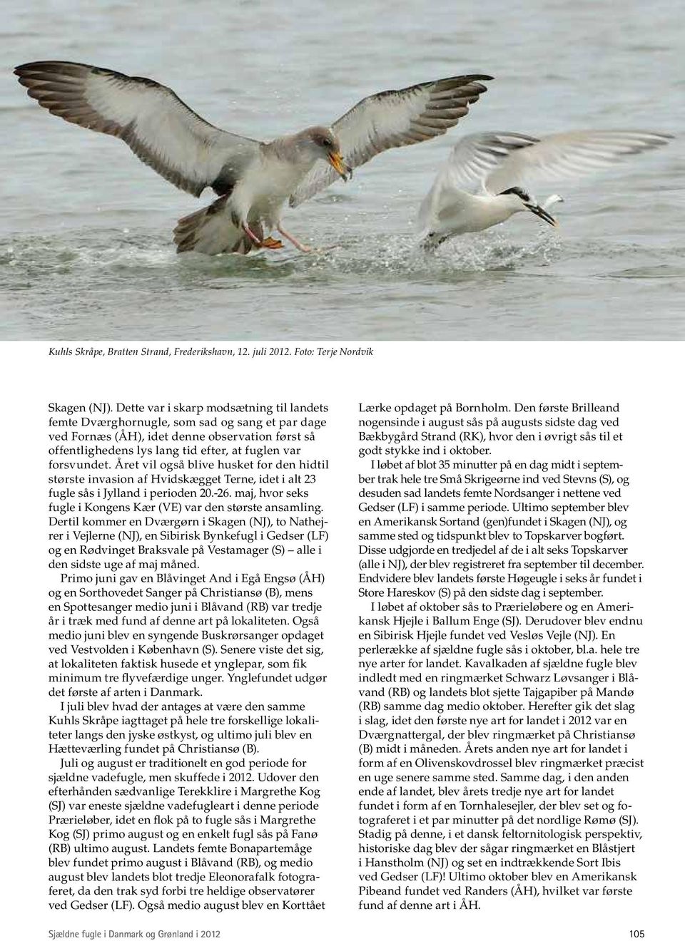 Året vil også blive husket for den hidtil største invasion af Hvidskægget Terne, idet i alt 23 fugle sås i Jylland i perioden 20.-26. maj, hvor seks fugle i Kongens Kær (VE) var den største ansamling.