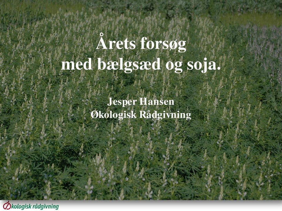 Jesper Hansen