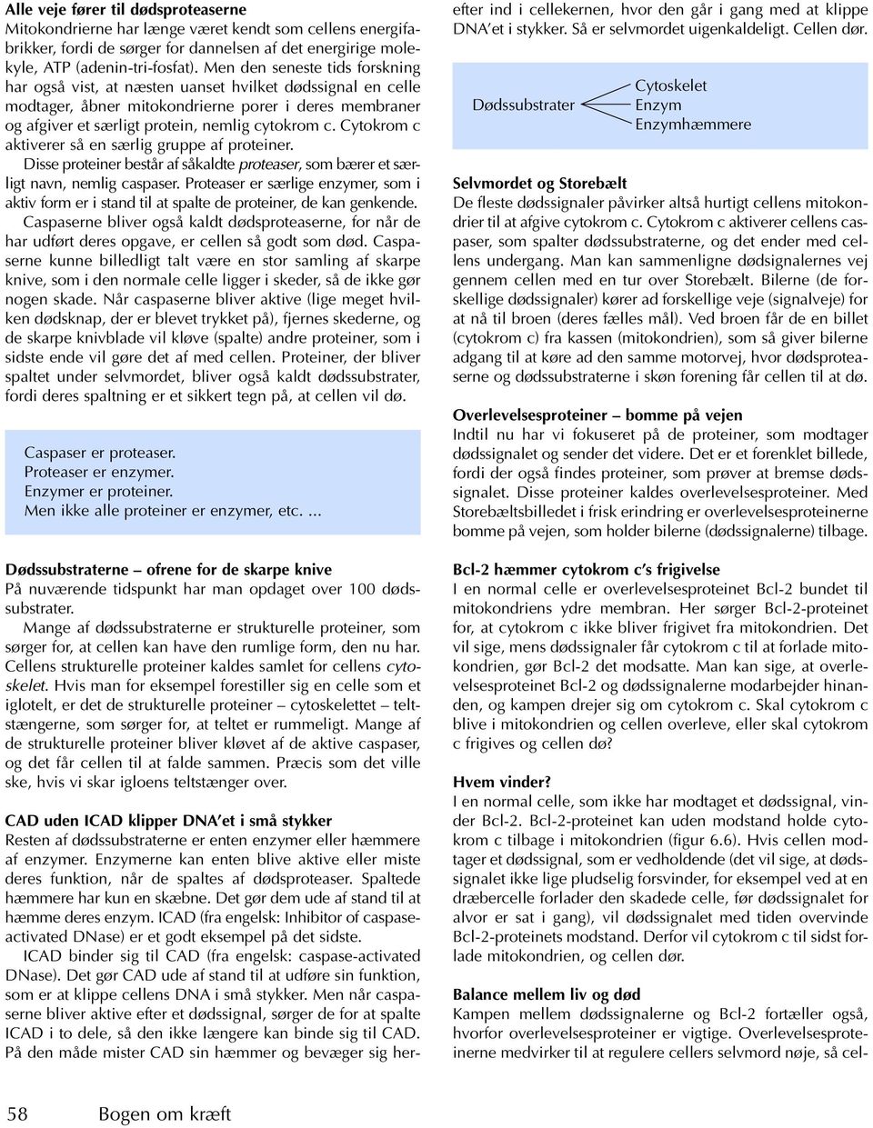 6. Apoptose. Når celler begår selvmord - PDF Free Download