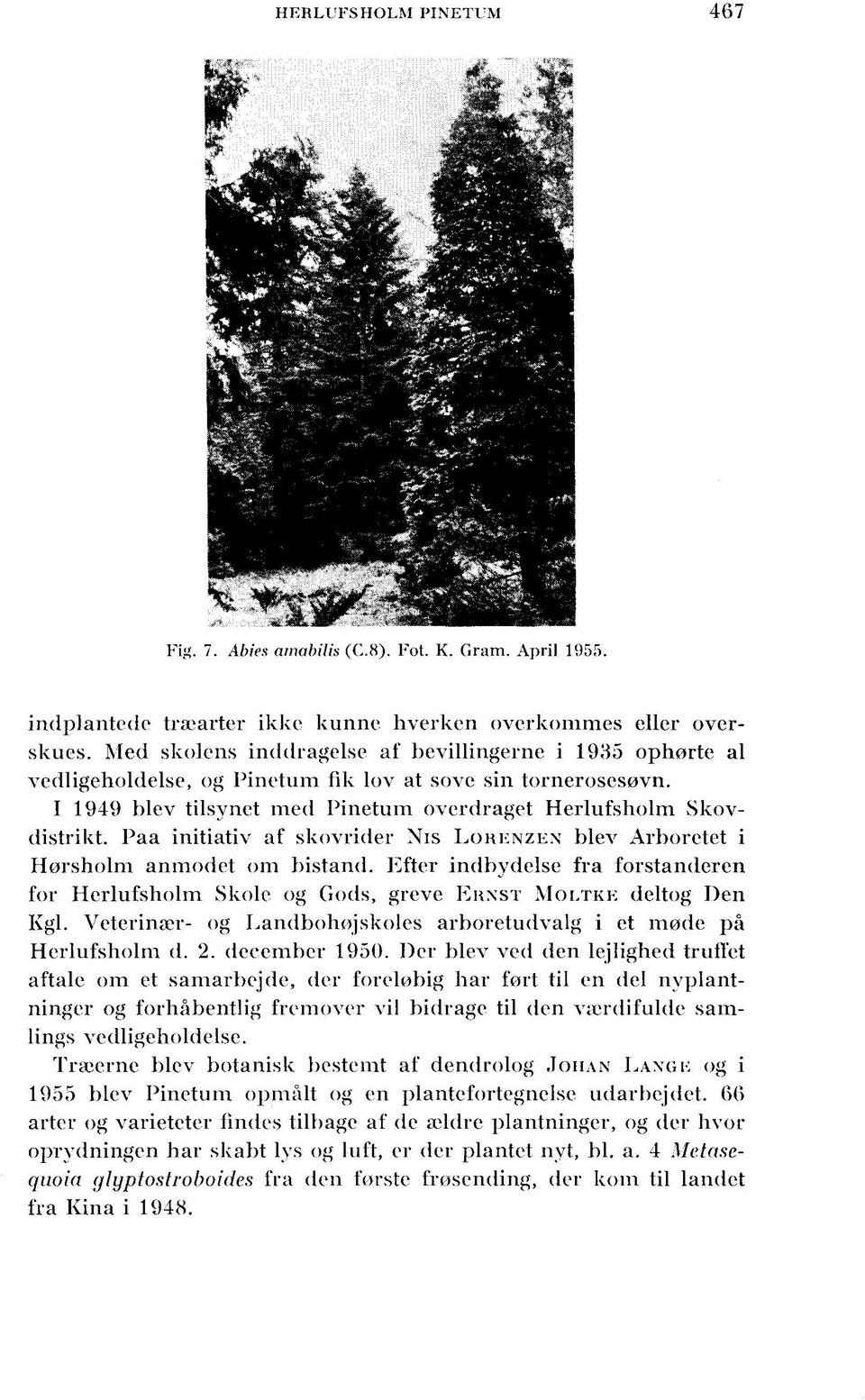 HERLUFSHOLM PUVETUM - PDF Gratis download