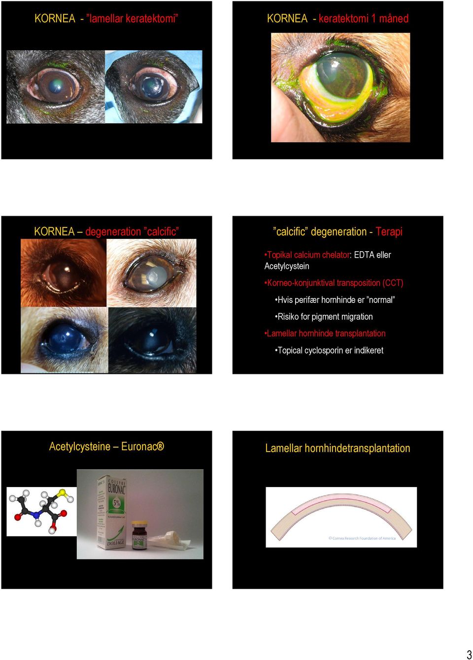 External Eye EXTERNAL EYE - PDF Free Download